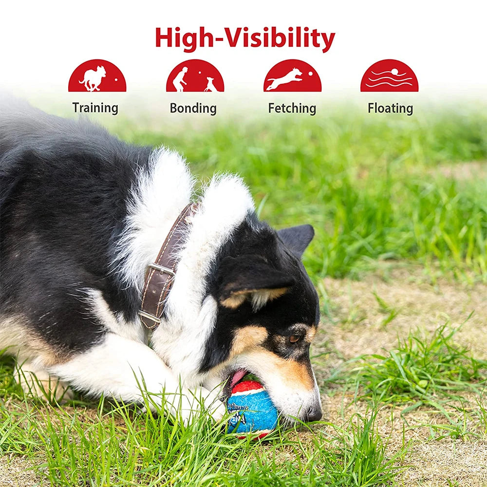 Pet Dog Squeaky Tennis Ball Interactive Dog Toys High Bounce Sound Rubber Ball  for Dogs Training Outdoor Play Ball Puppy Gift