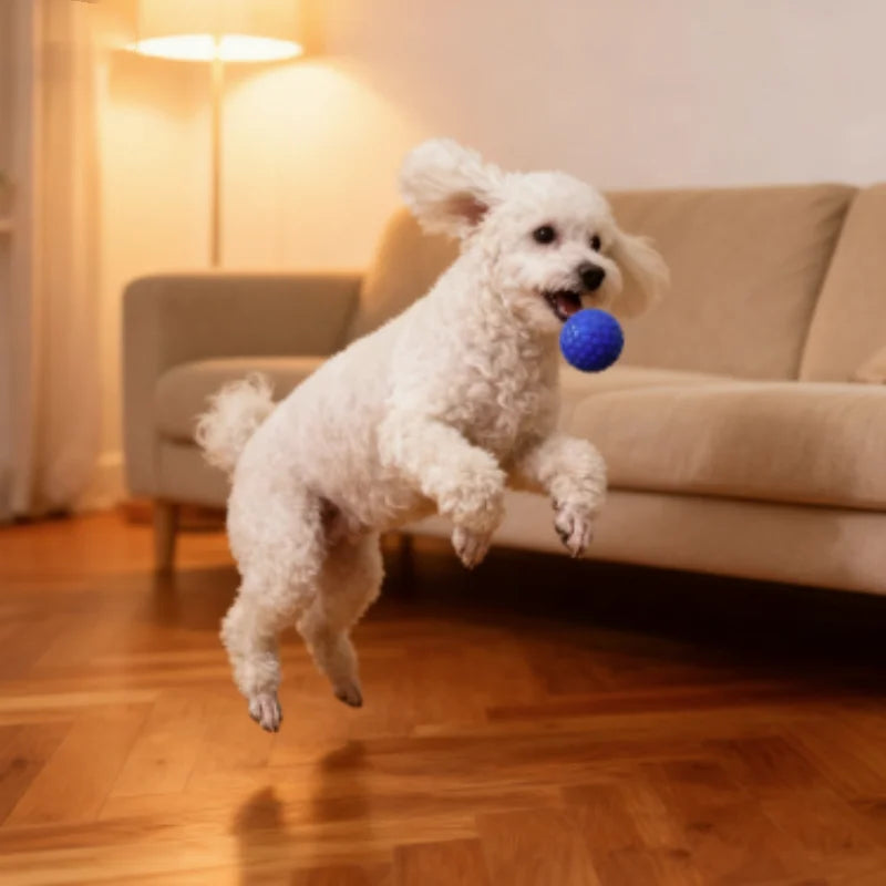 Indestructible Interactive Rubber Ball Dog Chewing Toy for Small Medium Large Breeds Pet Tooth Cleaning Fun Accessory