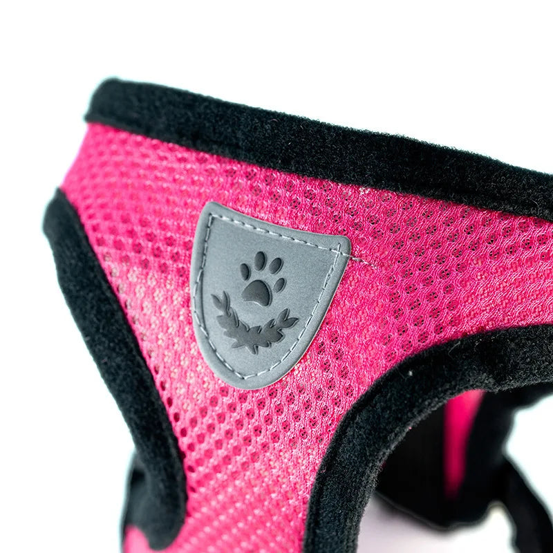 Hot summer small dog pet chest and back breathable dog chest and back suit cat outdoor traction rope child collar