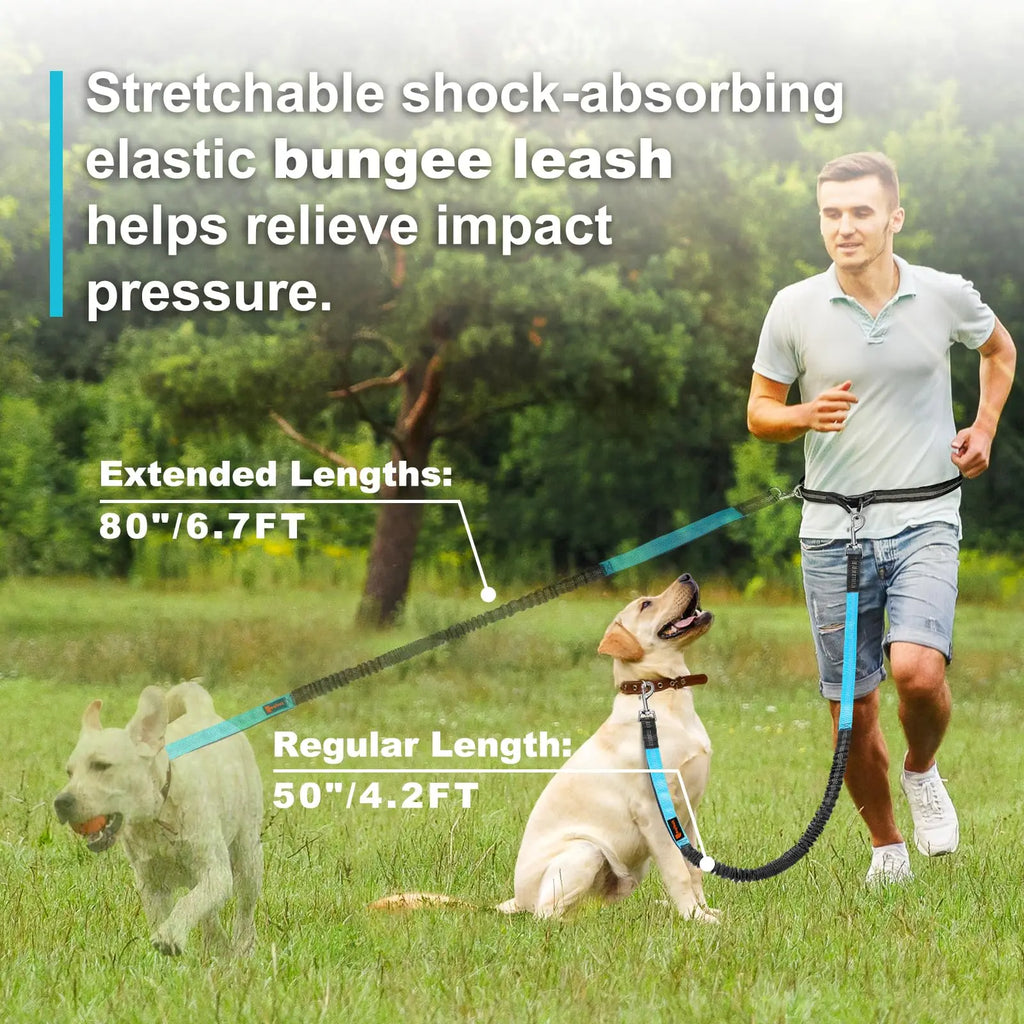 Adjustable Waist Dog Leash 2 in 1 Hands Free Bungee Handle with Reflective Stitches for Walking Hiking Running