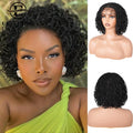 Short Curly Twist Box Braided Wigs for Women Synthetic Braided Full Lace Wigs with Baby Hair Ready to Wear Glueless Braided Wig
