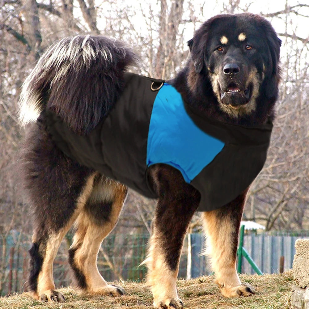 Large Dog Clothes For French Bulldog Winter Pet Clothes Coat Ropa Perro Golden Retriever Labrador Dog Clothing Jacket 2XL-7XL