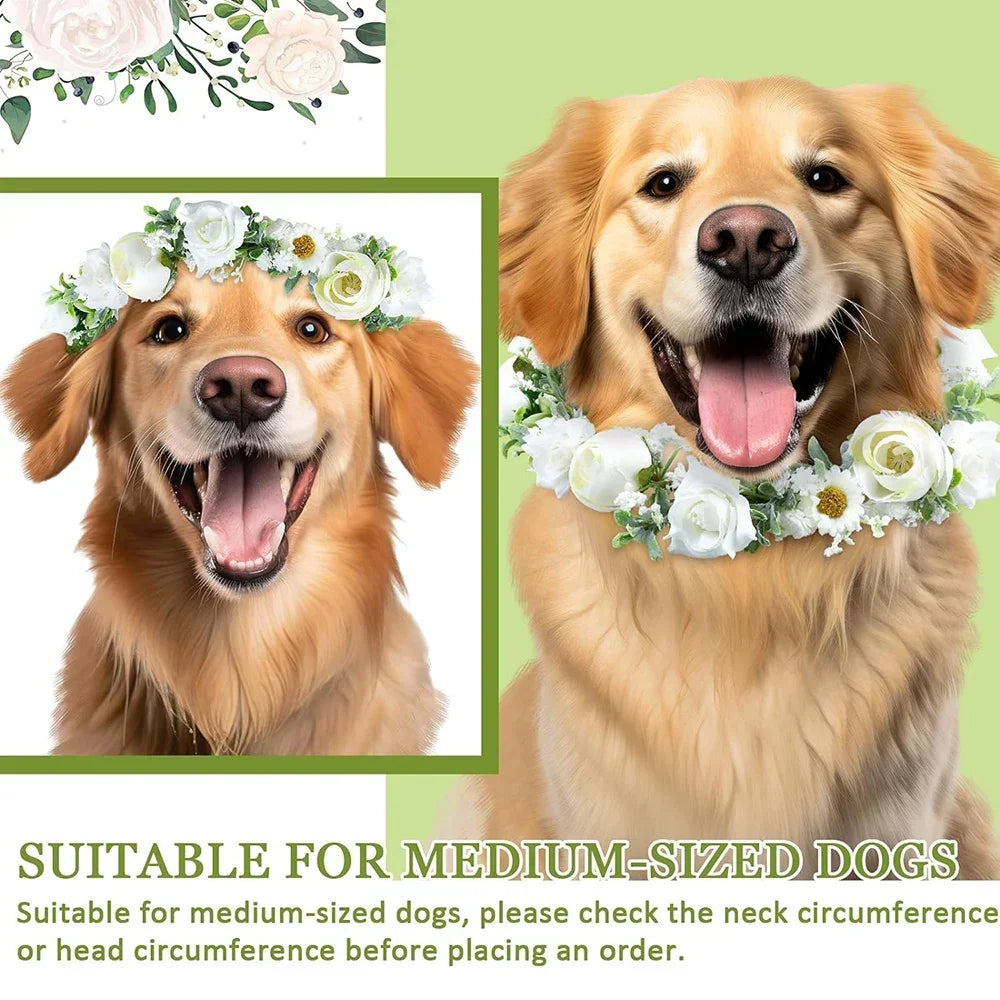 Dog Flower Collar and Leash Set for Dogs 120 cm Pearls Beaded Dog Leash Dog Collars for Wedding Attire Wreath Pet Photo Prop