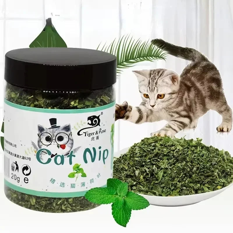 Hot Natural High Quality Catnip Cattle Grass Mint Taste Funny Cat Toy Active Interactive Attractant Cat Chew Toys Pet Supplies