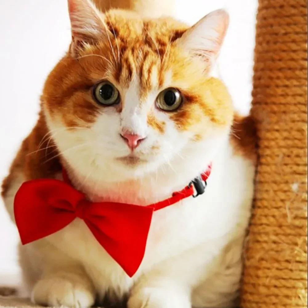 1pcs Pet Necklace Adjustable Strap Puppy Necktie Bow Ties Dog Cats Collar Grooming Supplies Accessories dieren benodigheden hond