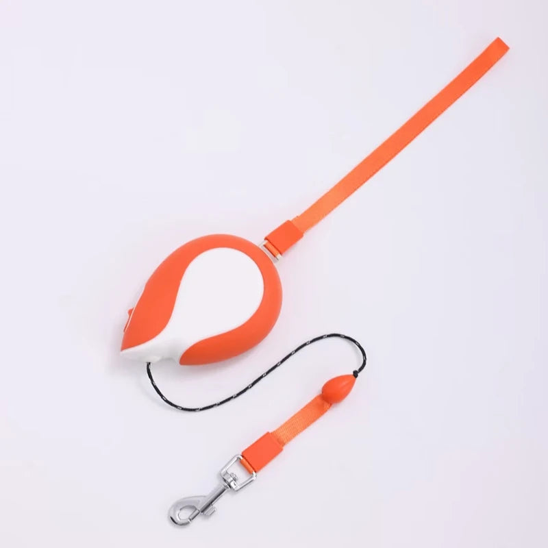 Booteely 3M Leash For Small Dogs Auto Retractable Leash, Hand Loop Kitten Leash, Compact And Portable Bichon Frise Dog Leash
