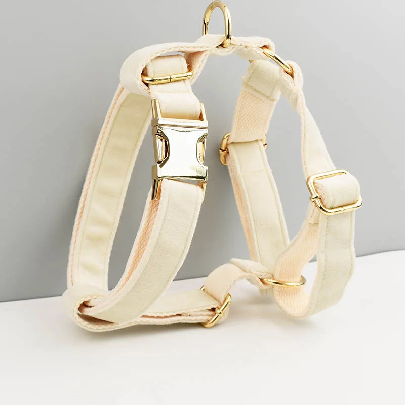 Milky white Velvet Dog Collar And Leash Set For Dogs Custom Engraved Nameplate Pet Supplies Dog Leash Velvet 14