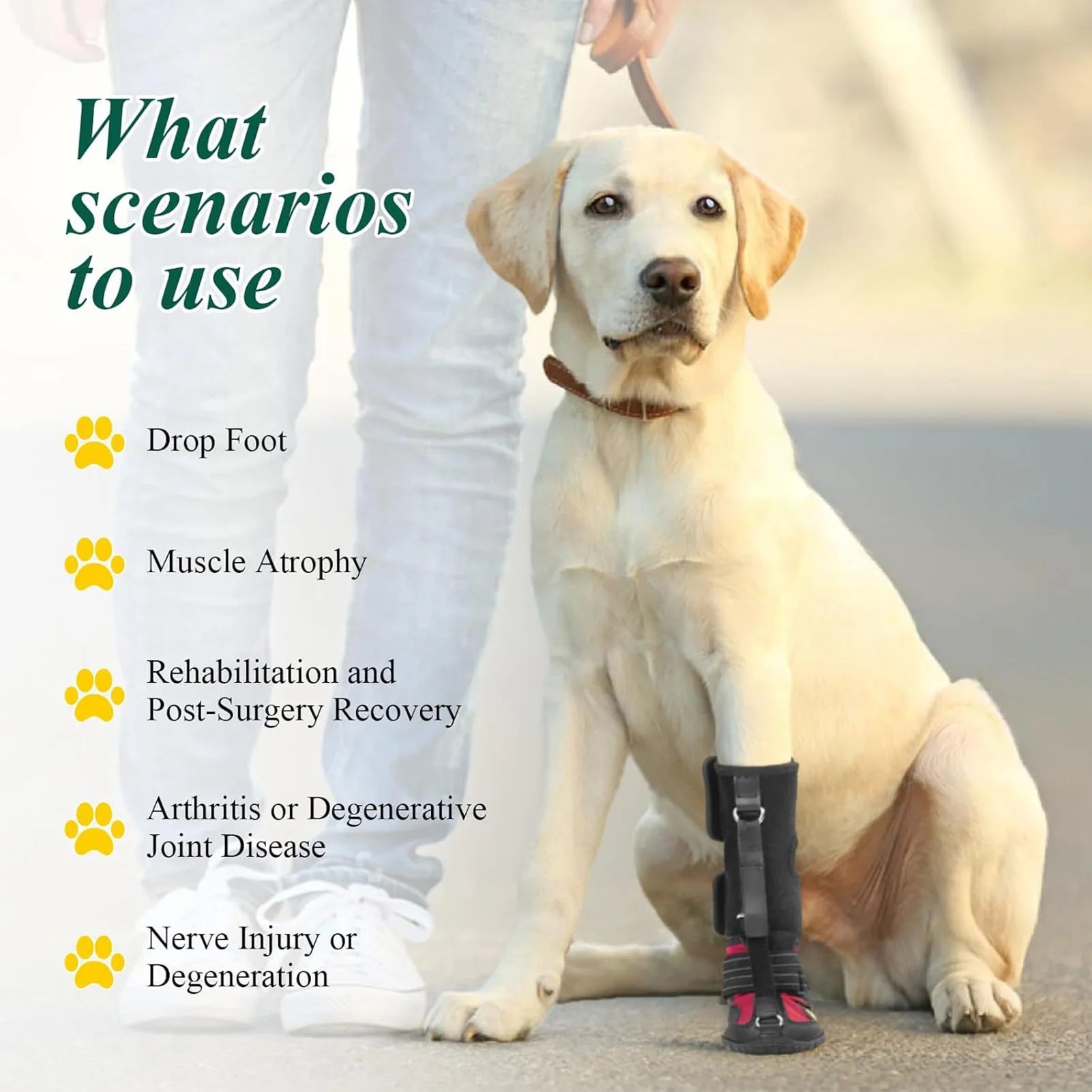Drops Foot Brace No Knuckling Boot Brace For Dog Hard Anti-Skid Sole For Outdoor-Adventures