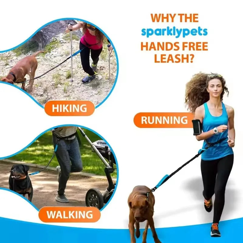 Outdoor Pet Dual Elastic Traction Rope Reflective Running at Night Stretchable Hands-free Dog Dual Handle Elastic Rope