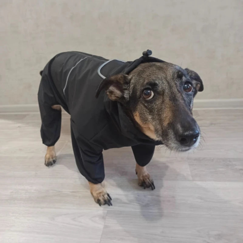 Full Coverage Dog Raincoat Waterproof Jumpsuit Overalls Full Wrap Design for Protection for Small Medium Large Extra Large Dogs