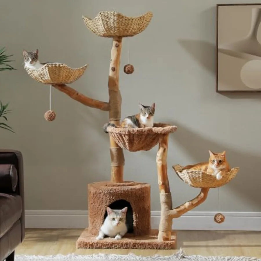 Large Cat Tree for Indoor Cats 59 Inches Modern Furniture with 3 Large Baskets Natural Solid Wood Luxury Condo and Hammock Brow