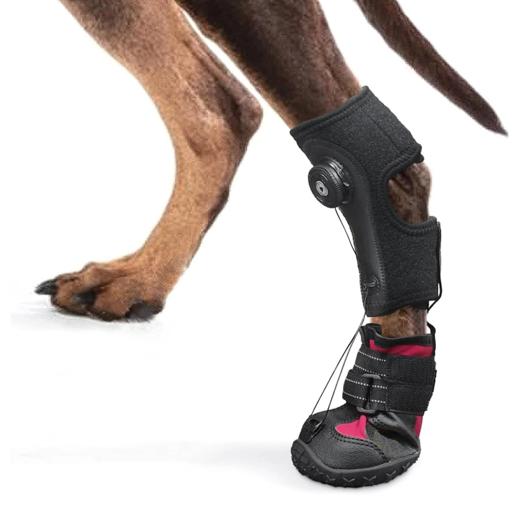 Drops Foot Brace No Knuckling Boot Brace For Dog Hard Anti-Skid Sole For Outdoor-Adventures