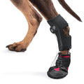 Drops Foot Brace No Knuckling Boot Brace For Dog Hard Anti-Skid Sole For Outdoor-Adventures