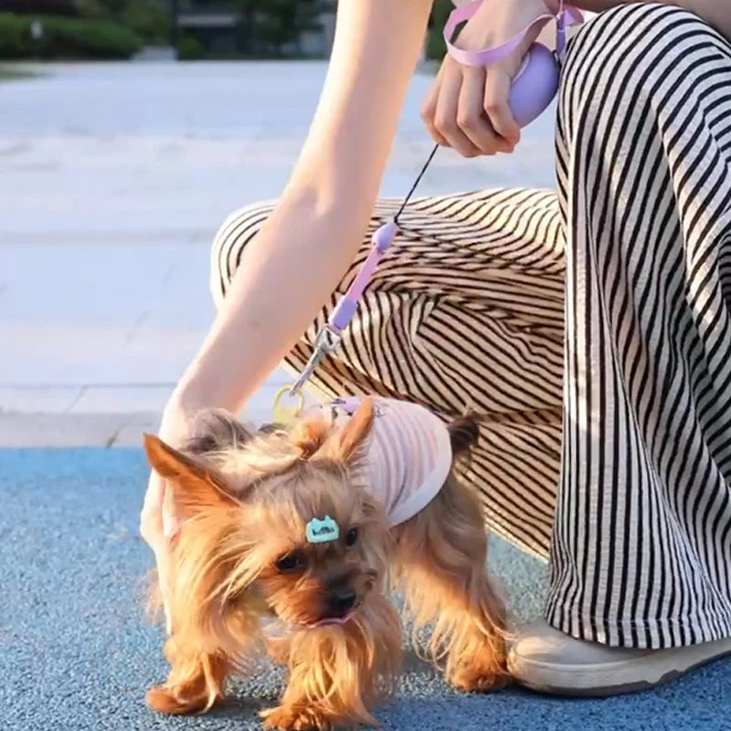 Booteely 3M Leash For Small Dogs Auto Retractable Leash, Hand Loop Kitten Leash, Compact And Portable Bichon Frise Dog Leash