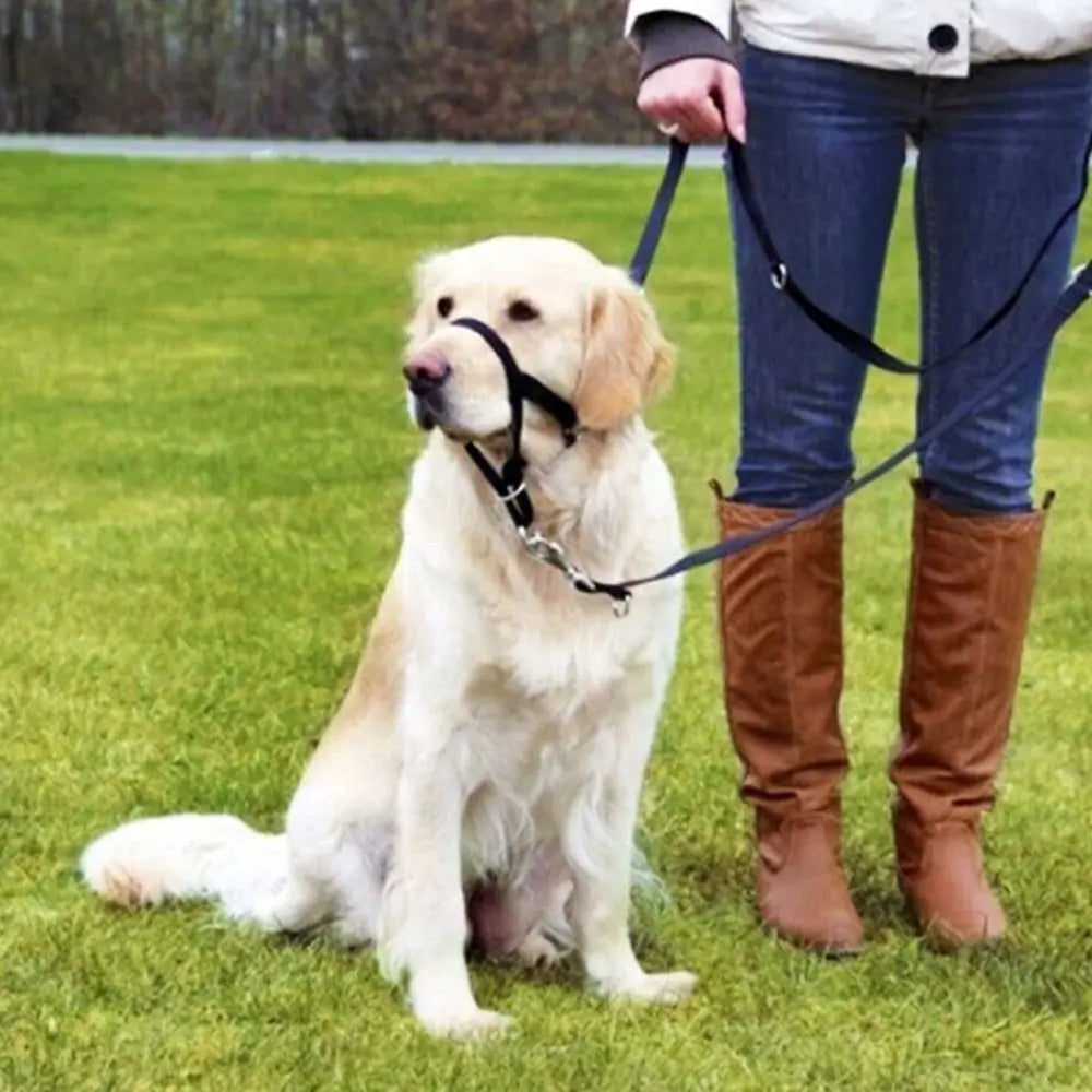 Adjustable Anti barking Non Pull Nylon Leader Harness Dog Head Collar Dog Halter Dog Muzzle