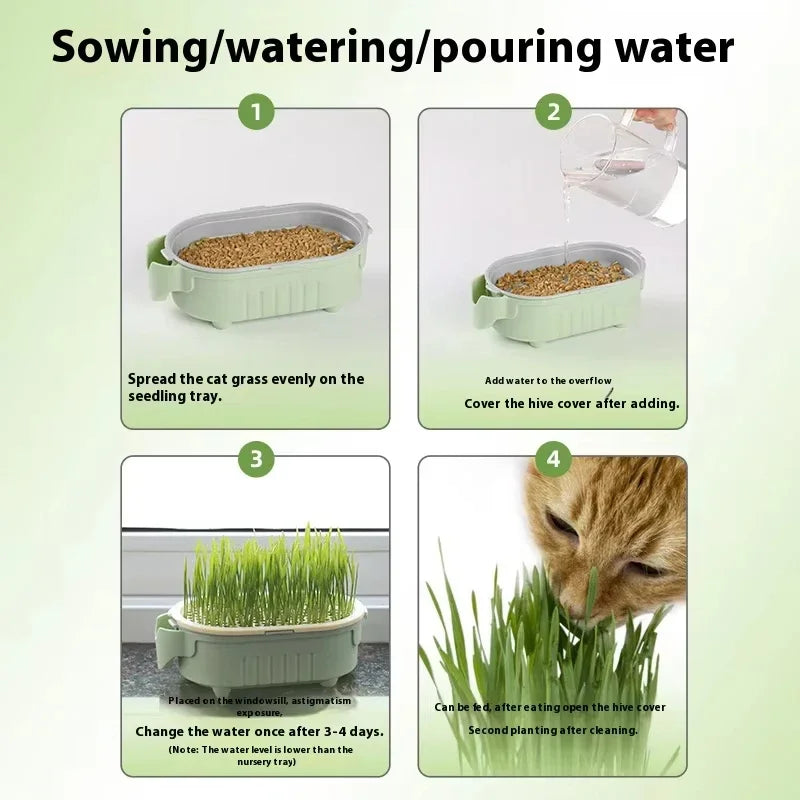 Organic Cat Grass Planter Kit Hairball Relief Natural Digestive Aid Grow Your Own Cat Grass Bowl Set Not Include Seed