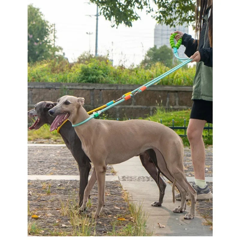 Double-Headed Dog Leash One-to-Two Medium and Large Dog Collar Anti-Burst P Rope Diagonal Cross-Body Dog Walking Artifact Rope