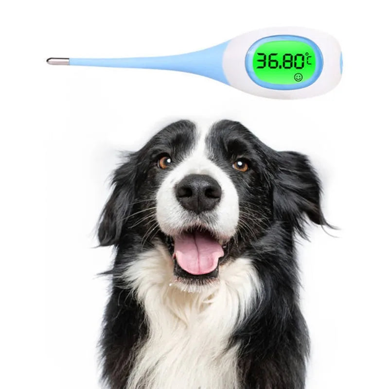 Digital Pet Thermometer | 8-Second Fast Read | Oral & Armpit Dual Modes | LED Display | Accurate Fever Alert | Temperature Tool