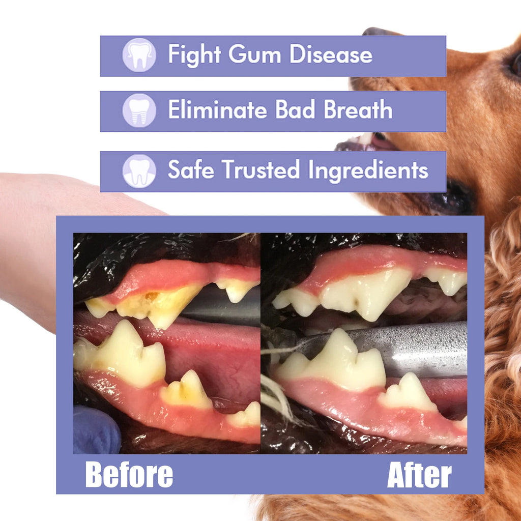 Pet Dental Spray for Dogs and Cats Freshen Breath Remove Plaque Tartar Oral Care Water Additive Easy Use 30ml No Brush Needed