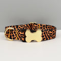 Custom Engraved Ethnic Style Dog Collar with Nameplate for Small Medium Large Dogs Pet Supplies with Matching Leash