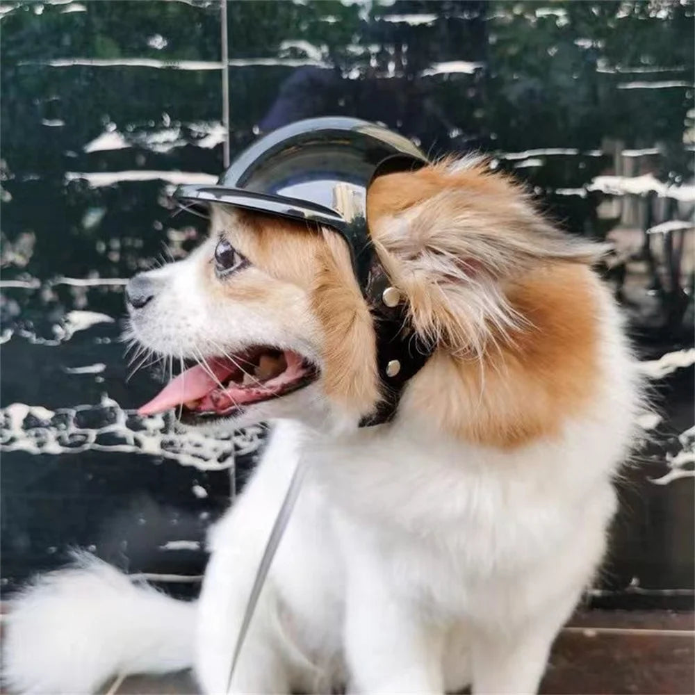 Cool Pet Dog Safety Helmet for Small Medium Dogs French Bulldog Doberman Pinscher Adjustable Motorcycle Helmets Pet Accessories