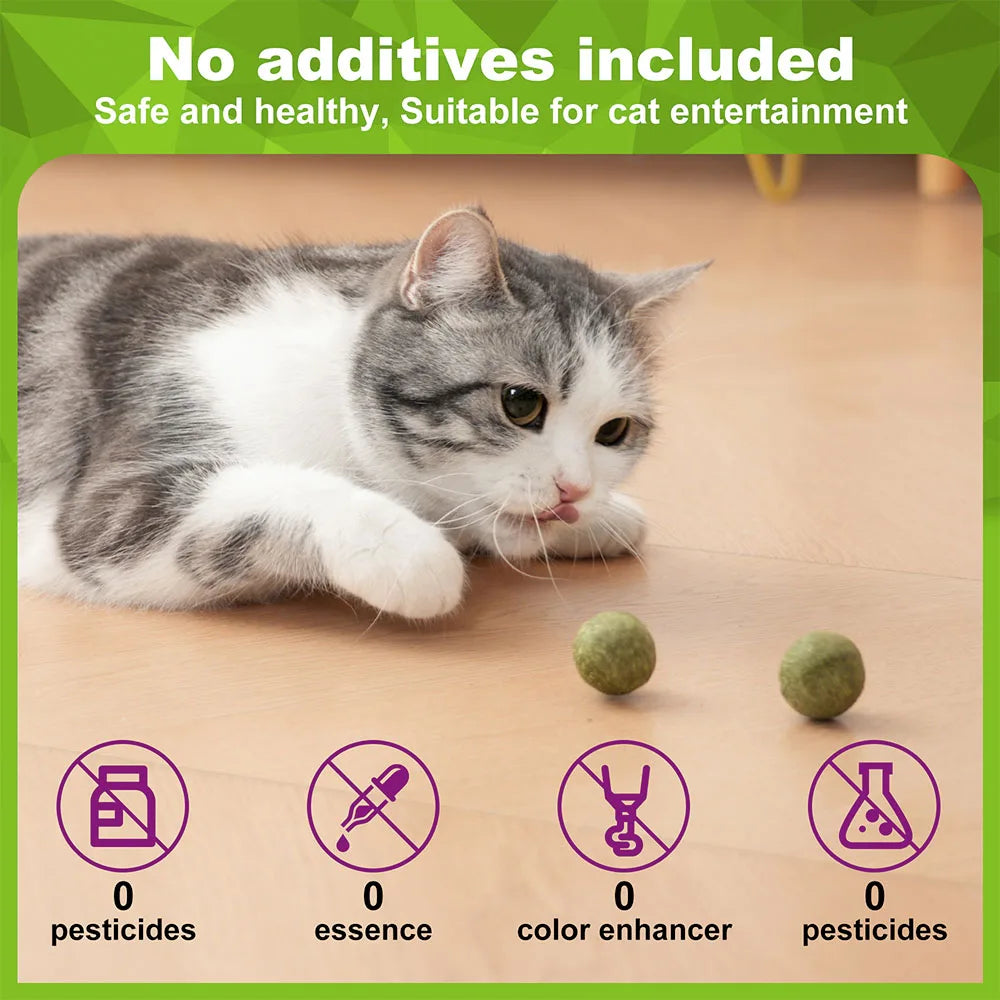 Catnip Balls Kitten Cat Nip Ball Licker Toy Natural Catnip Ball for Cats of All Breeds,Cat Lick Ball Toys That Fascinate Cats