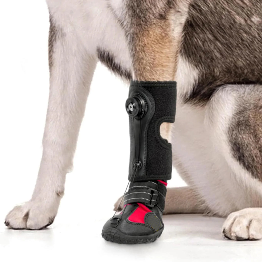 Drops Foot Brace No Knuckling Boot Brace For Dog Hard Anti-Skid Sole For Outdoor-Adventures