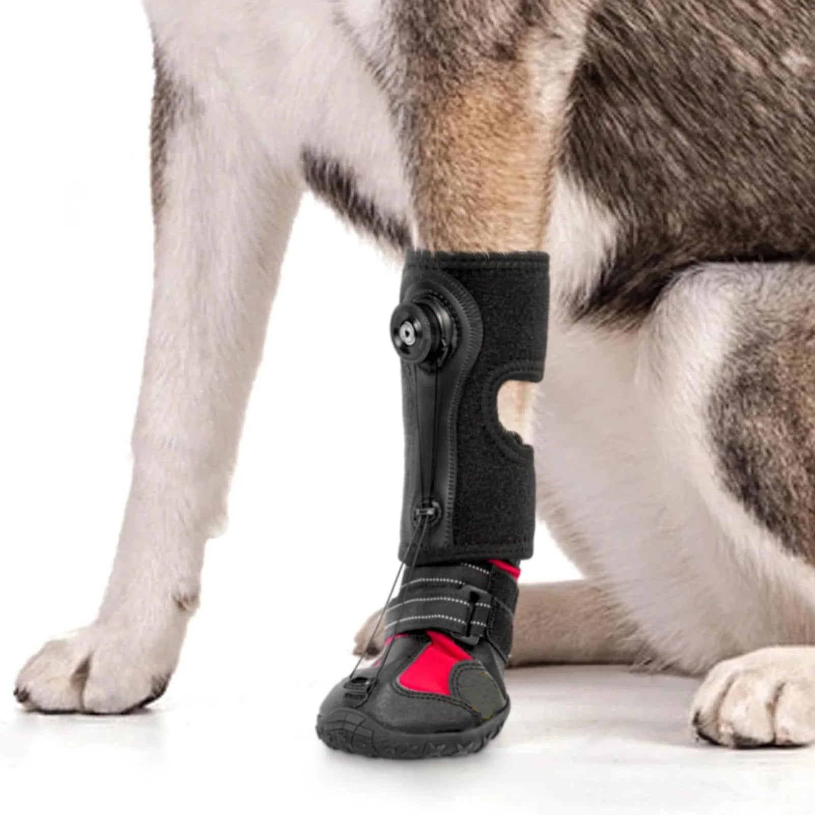 Drops Foot Brace No Knuckling Boot Brace For Dog Hard Anti-Skid Sole For Outdoor-Adventures
