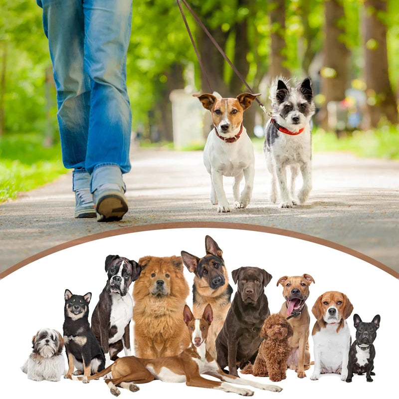 Benepaw Genuine Leather Double Dog Leash Durable Heavy Duty No Tangle Dual Puppy Pet Leads For Small Medium Dog Walking Training