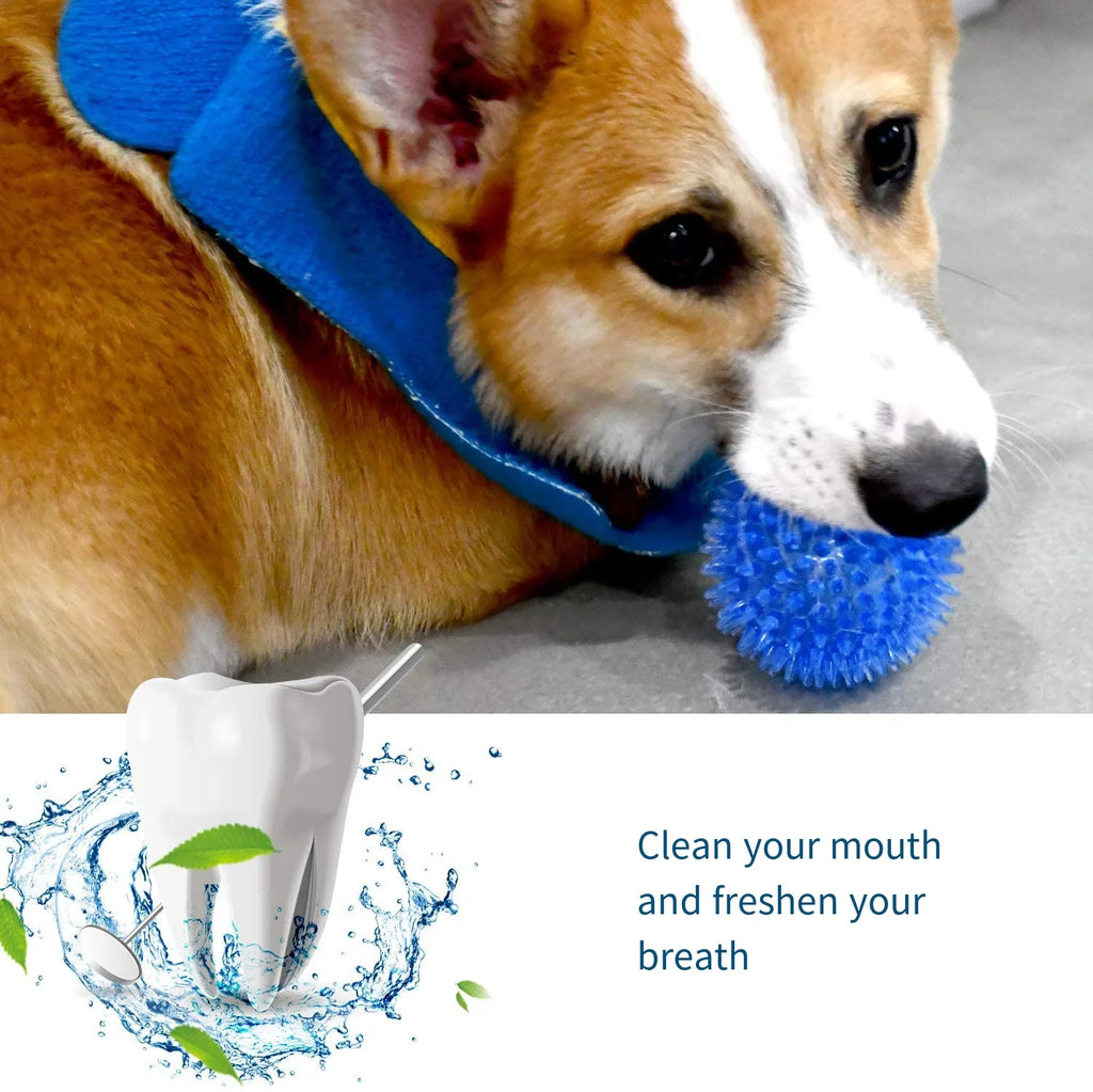 Dog Toys Sound Toy Bouncy Ball Pet Toy Polka Squeaky Tooth Cleaning Ball TPR Training Pet Teeth Chewing Toy