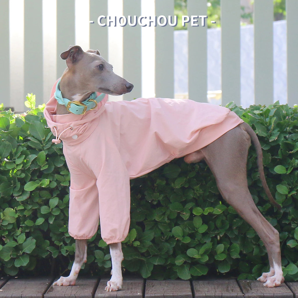 Italian Greyhound Whippet pet clothes for autumn outdoor sun protection, wind and rain protection with detachable hat for dog