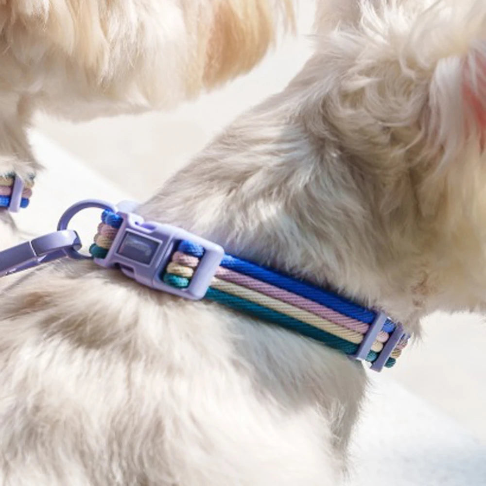 Weaving Color Blocked Pet Collar Small Medium Dogs Collar For Puppy