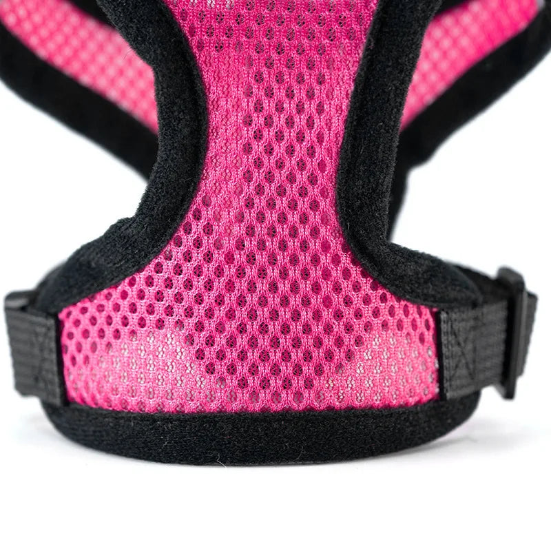 New style dog walking and cat chest strap outdoor traction rope explosion-proof and breathable chest back pet supplies