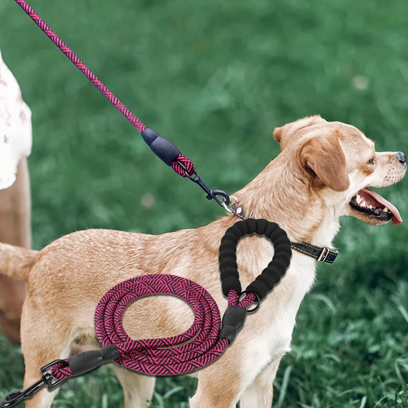 Reflective Dog Leash With Comfortable Padded Handle-Double Strong Leashes for Leash Reinforced Leash Enhance Safety And control