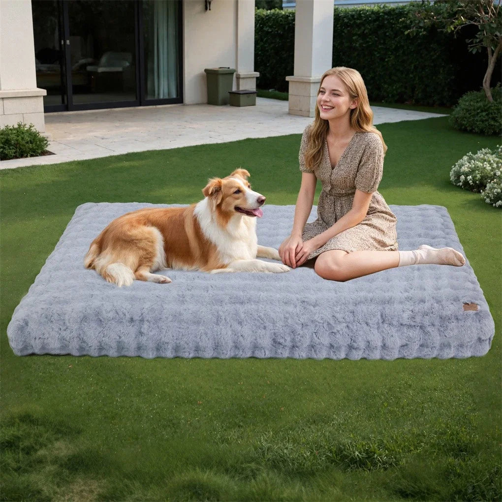 BINGOPAW Ultra-soft Dog Bed Pet Cozy Sleep Bed Cat Calming Bed Cushion Cover With Removable Cover Machine Washable