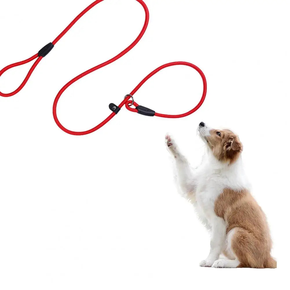 Bright Blue Pet Leash Pet Leash for Night Walks High-density Nylon Braided Rope Slip Lead Dog Leash for Medium Small Dogs