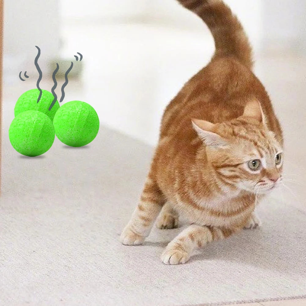 12Pcs Cat Deterrent Natural Peppermint Oil Cat & Dog Nature Repellent To Keep Feral Cats Stray Dogs Out of Yard