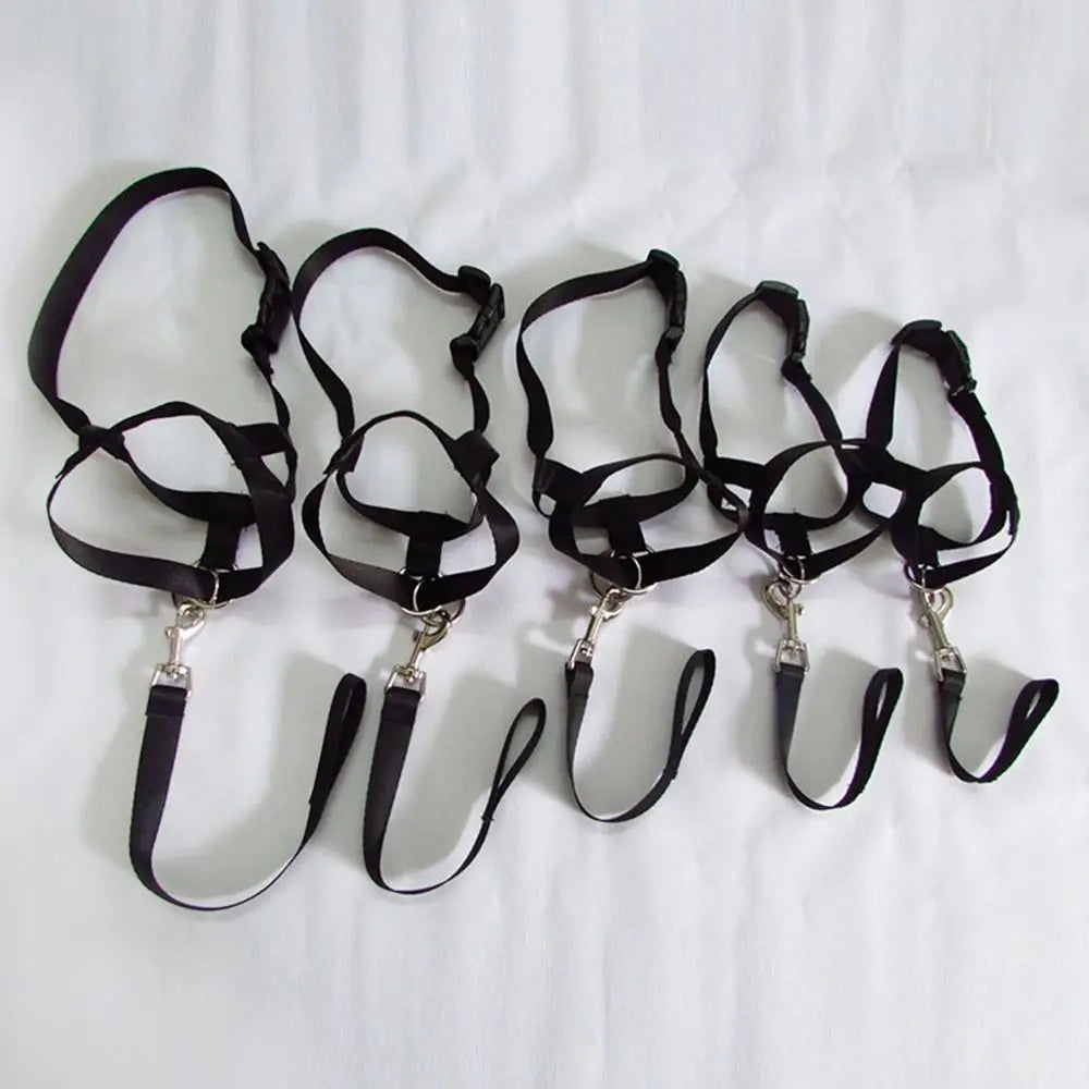 Adjustable Anti barking Non Pull Nylon Leader Harness Dog Head Collar Dog Halter Dog Muzzle
