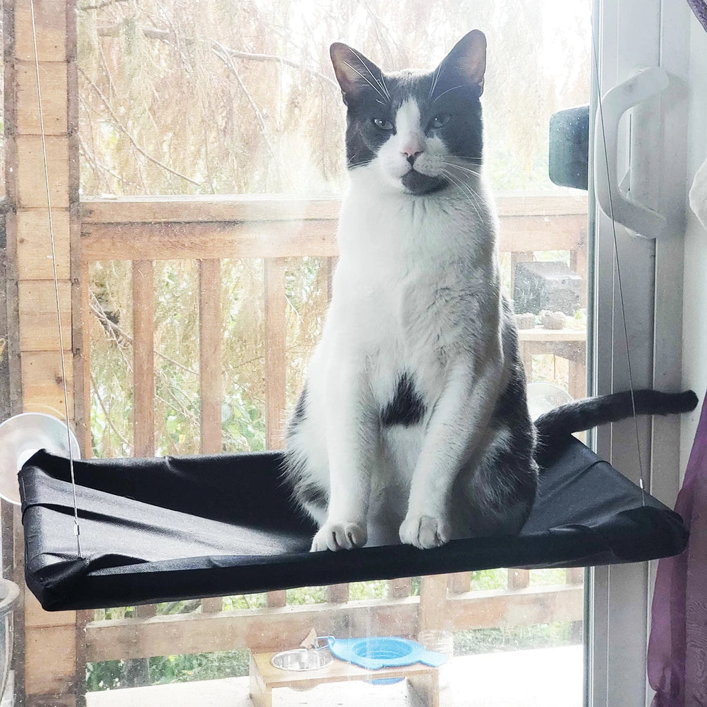 20kg Pet Cat Hammock Aerial Hanging Cat Bed Cats Bed House Kitten Climbing Frame Sunny Window Seat Nest Bearing Pet Accessories