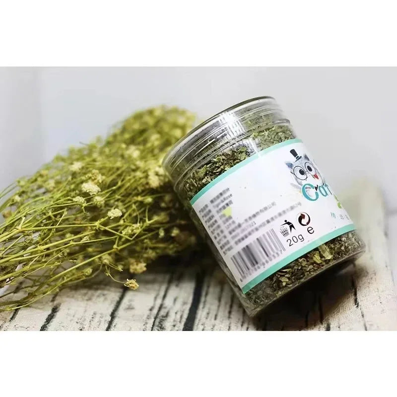 Hot Natural High Quality Catnip Cattle Grass Mint Taste Funny Cat Toy Active Interactive Attractant Cat Chew Toys Pet Supplies