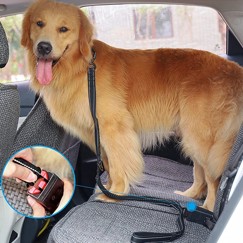 Nylon reflective multi-functional retractable dog leash Reflective Shock Absorbing Pet Leashes with Car Seatbelt for Large Dogs